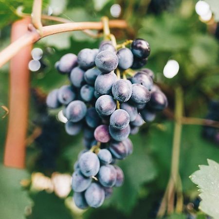 Case Vacanza Podere Risoino 포지본시 외부 사진