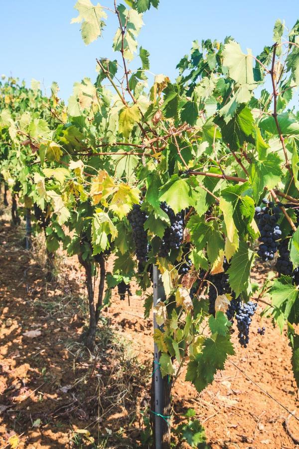 Case Vacanza Podere Risoino 포지본시 외부 사진